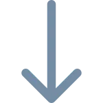 Long Arrow Down SVG Icon